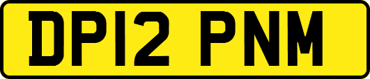 DP12PNM