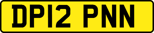 DP12PNN