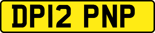 DP12PNP