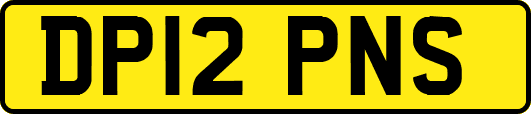 DP12PNS