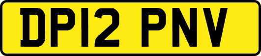 DP12PNV