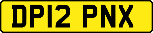 DP12PNX