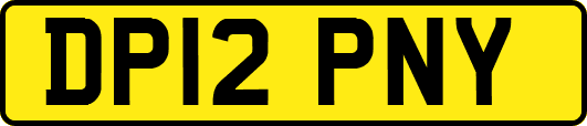 DP12PNY