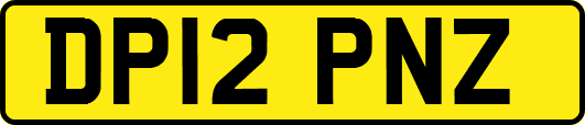 DP12PNZ
