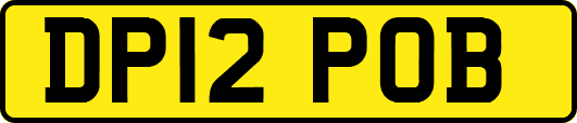 DP12POB