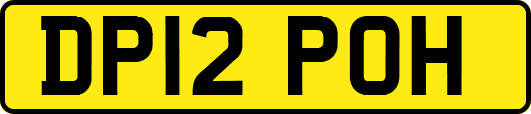 DP12POH