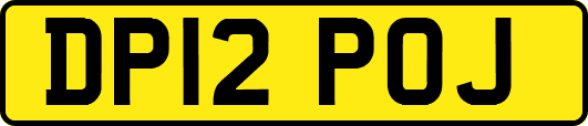 DP12POJ