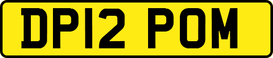 DP12POM