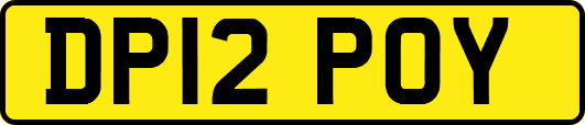 DP12POY