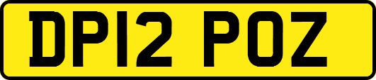 DP12POZ