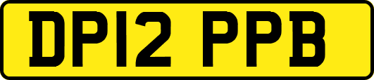 DP12PPB