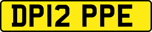 DP12PPE