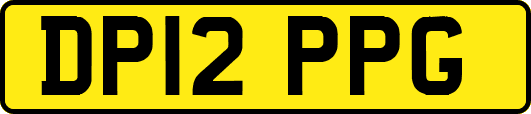 DP12PPG