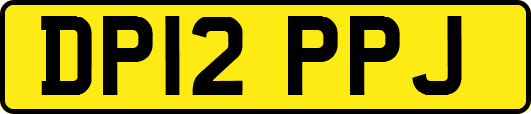 DP12PPJ