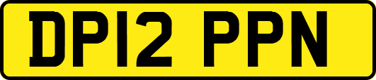 DP12PPN