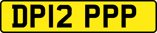 DP12PPP