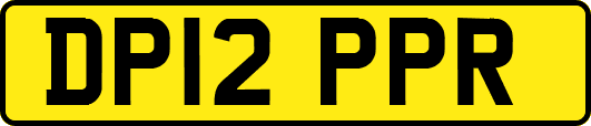 DP12PPR
