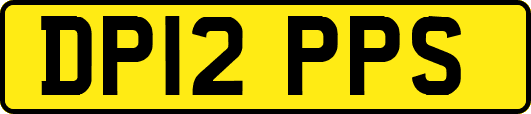 DP12PPS