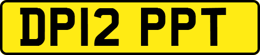 DP12PPT