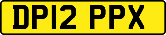 DP12PPX
