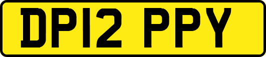 DP12PPY