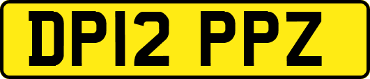 DP12PPZ