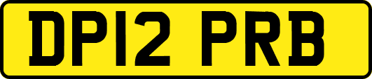 DP12PRB