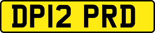 DP12PRD