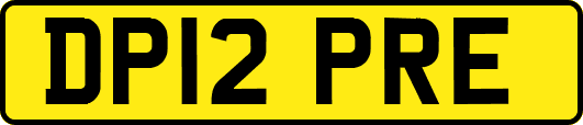DP12PRE