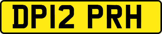 DP12PRH