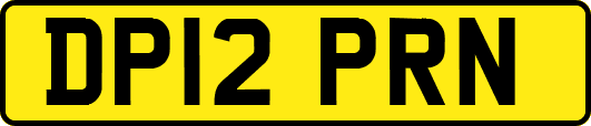 DP12PRN
