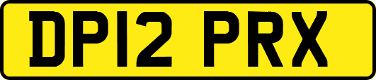 DP12PRX