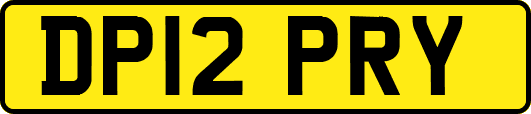 DP12PRY