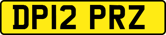 DP12PRZ