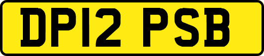 DP12PSB