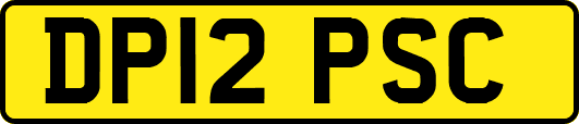 DP12PSC