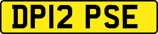 DP12PSE