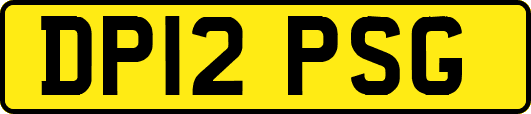 DP12PSG