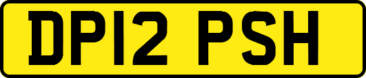 DP12PSH