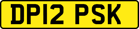 DP12PSK