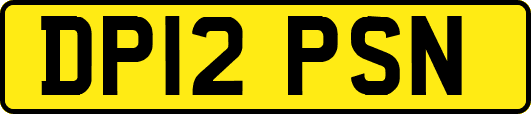 DP12PSN