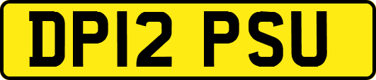 DP12PSU