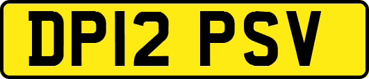 DP12PSV