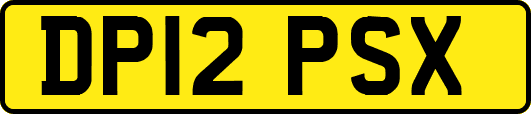 DP12PSX