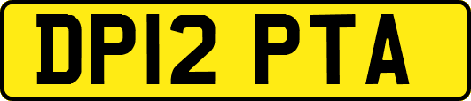 DP12PTA