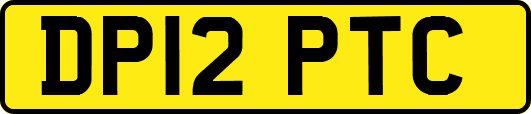 DP12PTC