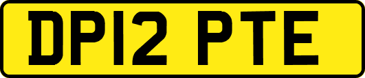DP12PTE