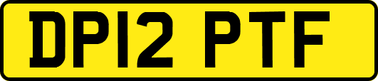 DP12PTF