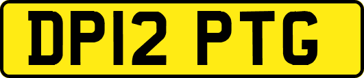 DP12PTG