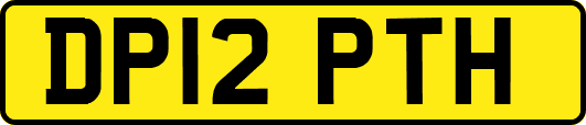 DP12PTH